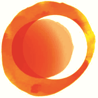 Solar Management logo