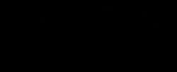 Dalston Superstore logo